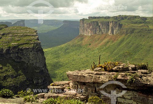  Subject: View from top of 