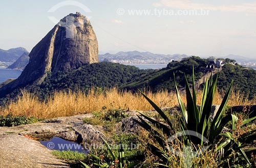  Subject: Sugar Loaf Place: Rio de Janeiro city - Rio de Janeiro state Date:  