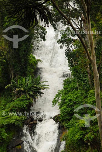  Subject: Veu da Noiva waterfall  Place: Nova Friburgo region - Rio de Janeiro state Date: March 2008 