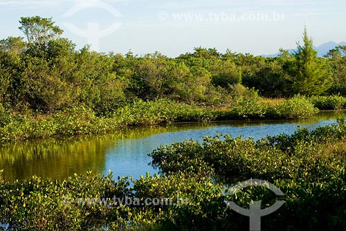  Subject: Lagoon at Carijos Ecological Station Place: Florianopolis city - Santa Catarina state Date: 04/2008 
