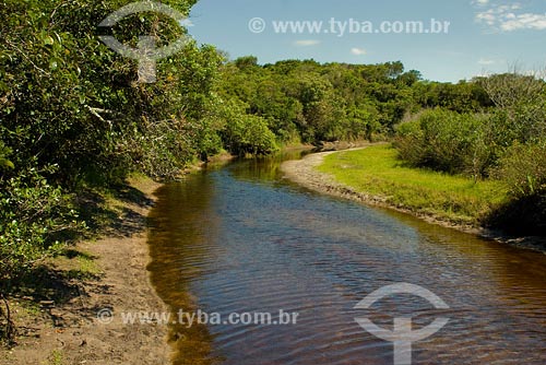  Subject: River on trail to Naufragados beach, located on the extreme south of Florianopolis island Place: Florianopolis city - Santa Catarina state Date: April 2008 