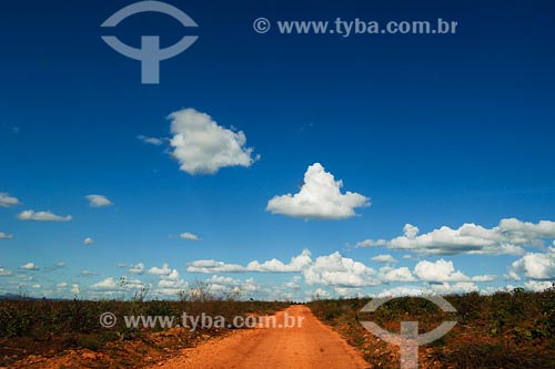  Subject: Dirt road Place: Montes Claros region - Minas Gerais state Date: 11/03/2008 