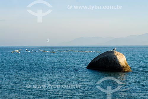  Subject: Tapera beach / Place: Florianopolis city - Santa Catarina state / Date: 20/05/2008 