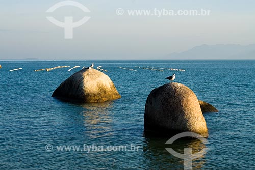  Subject: Tapera beach / Place: Florianopolis city - Santa Catarina state / Date: 20/05/2008 
