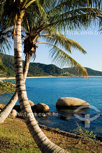  Subject: Taquara beach / Place: Balneario Camboriu region - Santa Catarina state / Date: 10/06/2008 