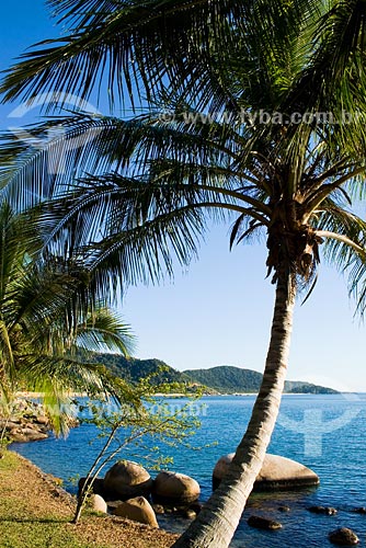  Subject: Taquara beach / Place: Balneario Camboriu region - Santa Catarina state / Date: 10/06/2008 