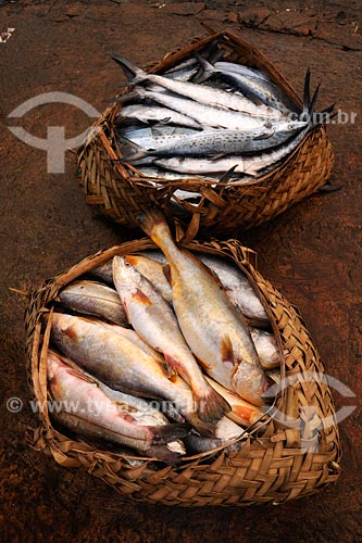 Subject: Fish market / Place: Sao Luis city - Maranhao state / Date: 08/2008 