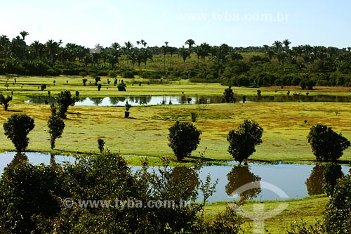  Subject: Flooded landscape / Place: Tufilandia region - Maranhao state / Date: 08/2008 
