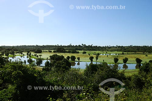  Subject: Flooded landscape / Place: Tufilandia region - Maranhao state / Date: 08/2008 
