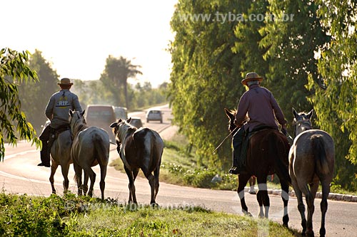  Subject: Horses on road / Place: Vitoria do Mearim region - Maranhao state / Date: 08/2008 