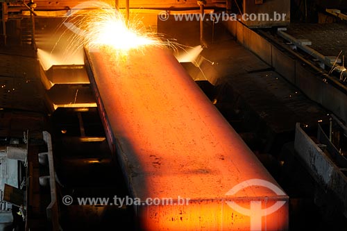  Subject: National metallurgical Company (CSN) / Local: Volta Redonda region - Rio de Janeiro state / Date: 07/2008 