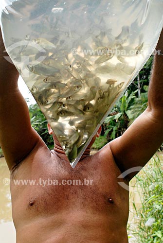  Subject: Man holding plastik bag with curimata fishes, Multirao Project / Place: Iguarape-Mirim region - Para state / Date: 02/2008 