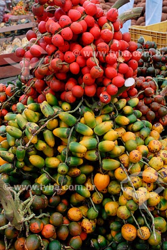  Subject: Pupunha, Ver-o-Peso market / Place: Belem city - Para state / Date: 02/2008 