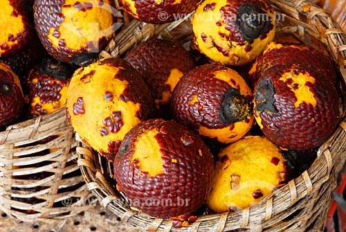  Subject: Buriti, Ver-o-Peso market / Place: Belem city - Para state / Date: 02/2008 