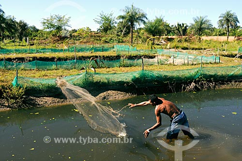  Subject: Fishery with net / Place: Itapecuru-Mirim region - Maranhao state / Date: 08/2008 