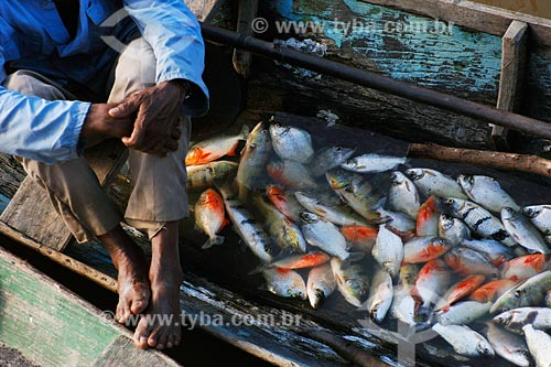  Subject: Fishery of Pindare river / Place: Pindare-Mirim town - Maranhao state / Date: 08/2008 