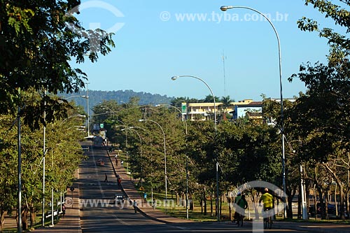  Subject: Arboreous street / Place: Parapuebas town - Para state / Date: 08/2008 