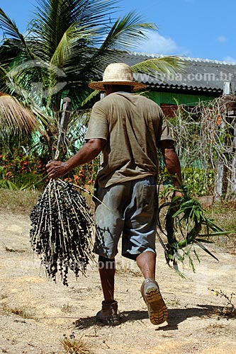 Subject: Man holding bunch of açai fruit / Place: Recanto dos Colibris - Palmares 1 village - Parauapebas region - Maranhao state / Date: 08/2008 