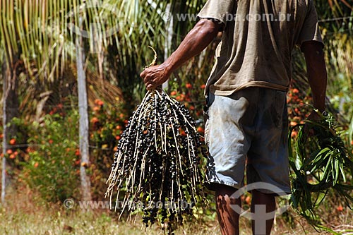  Subject: Man holding bunch of açai fruit / Place: Recanto dos Colibris - Palmares 1 village - Parauapebas region - Maranhao state / Date: 08/2008 