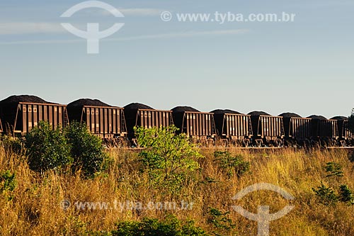  Subject: Cargo train at Carajas railway / Place: Maraba region - Para state / Date: 08/2008 