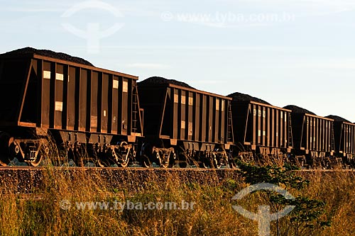  Subject: Cargo train at Carajas railway / Place: Maraba region - Para state / Date: 08/2008 