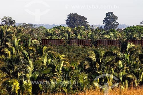  Subject: Cargo train on Carajas railway / Place: Maraba region - Para state / Date: 08/2008 