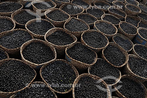  Subject: Acai Fair - Ver-o-peso Market (See the Weight Market) / Place: Belem City - Para State - Brazil / Date: 10/10/2008 