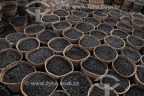  Subject: Acai Fair - Ver-o-peso Market (See the Weight Market) / Place: Belem City - Para State - Brazil / Date: 10/10/2008 
