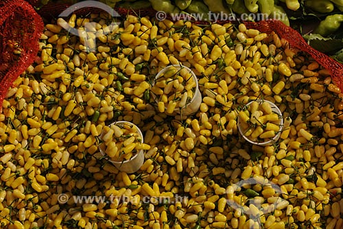  Subject: Ver-o-peso Market / Place: Belem City - Para State - Brazil / Date: 10/10/2008 