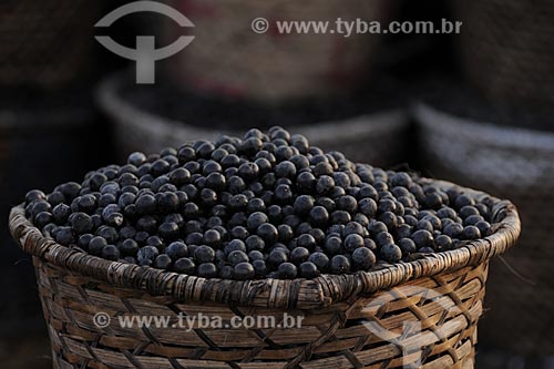  Subject: Acai fair - Ver-o-peso Market (See the Weight Market) / Place: Belem City - Para State - Brazil / Date: 10/13/2008 