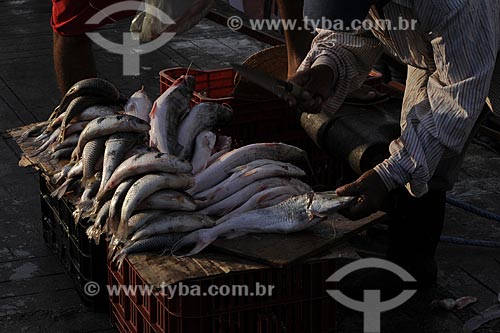  Subject: Fish fair- Ver-o-peso Market (See the Weight Market) / Place: Belem City - Para State - Brazil / Date: 10/13/2008 