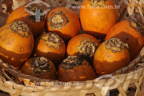  Subject: Basket with Tucumã / Place: Belem City - Para State - Brazil / Date: 10/13/2008 