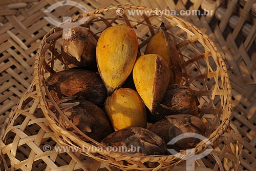  Subject: Basket with Inajá / Place: Belem City - Para State - Brazil / Date: 10/13/2008 