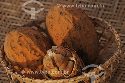  Subject: Basket with Cacauí / Place: Belem City - Para State - Brazil / Date: 10/13/2008 