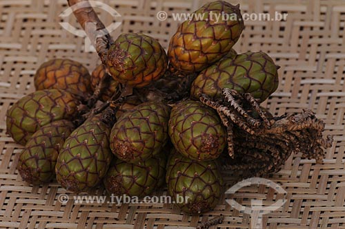  Subject: Basket with Jupati / Place: Belem City - Para State - Brazil / Date: 10/13/2008 