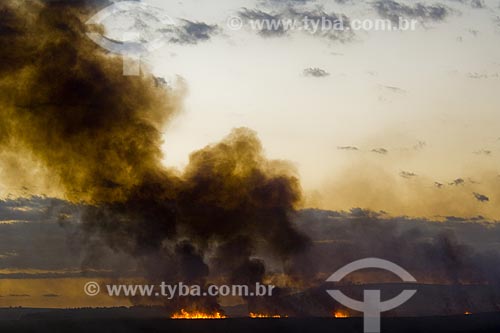  Subject: Fire On Sugar Cane Plantation / Place: Piracicaba City - Sao Paulo State / Date: 06/2006 