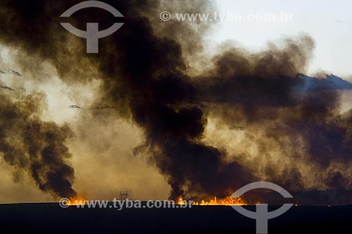  Subject: Fire On Sugar Cane Plantation / Place: Piracicaba City - Sao Paulo State / Date: 06/2006 