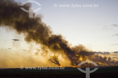  Subject: Fire On Sugar Cane Plantation / Place: Piracicaba City - Sao Paulo State / Date: 06/2006 