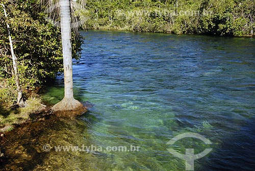  Subject: Rio Verde (Green River) / Place: Campo Novo dos Parecis City - Mato Grosso State - Brazil / Date: 06/13/2007 