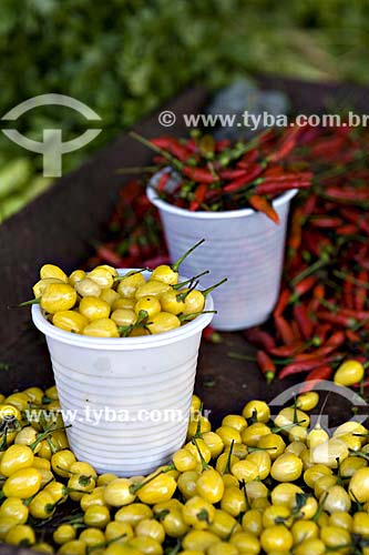  Subject: Pepper / Place: Belem City - Para State - Brazil / Date: 07/25/2008 