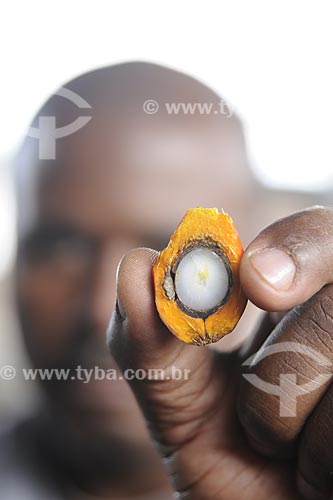  Subject: Man holding a dende / Place:  - Bahia state - Brazil / Date: 07/17/2008 