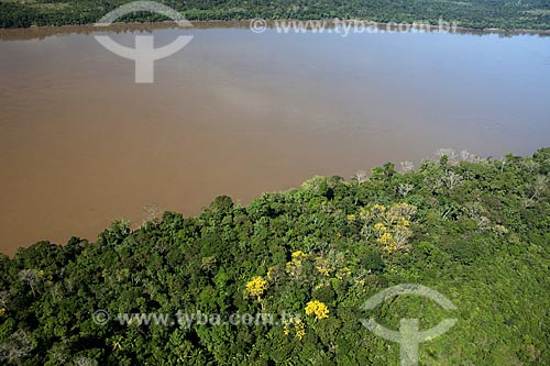  Subject: Banks of the Madeira river, with flowery trees, near Porto Velho city / Place: Rondonia state - Brazil / Date: 06/21/2007 