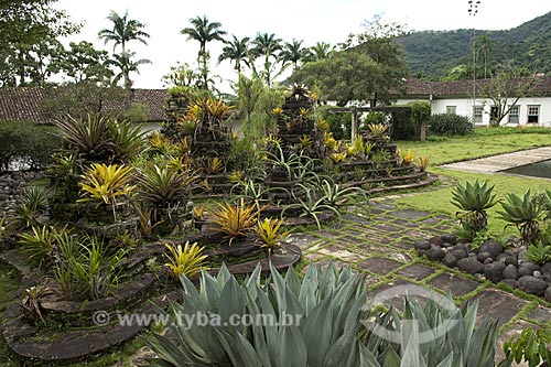  Subject: Roberto Burle Marx garden in Vargem Grande Farm  / Place: Areias city - Sao Paulo state - Brazil / Date: February 2008 