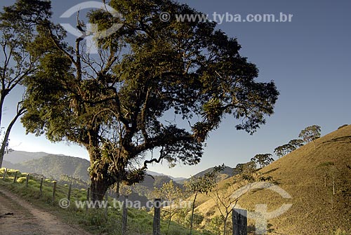  Assunto: Vale das Cruzes (Cruzes Valle) road. Visconde de Mauá city / Place: Visconde de Mauá city - Limit between Rio de Janeiro and Minas Gerais State - Brazil / Date: 2008 