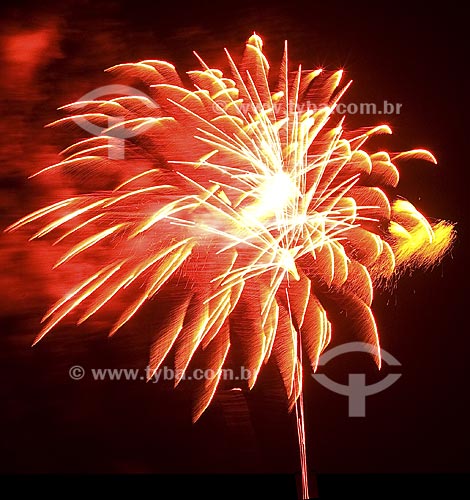  Subject: Fireworks / Place: Rio de Janeiro city - Rio de Janeiro (RJ) - Brasil / Date: November 2007 