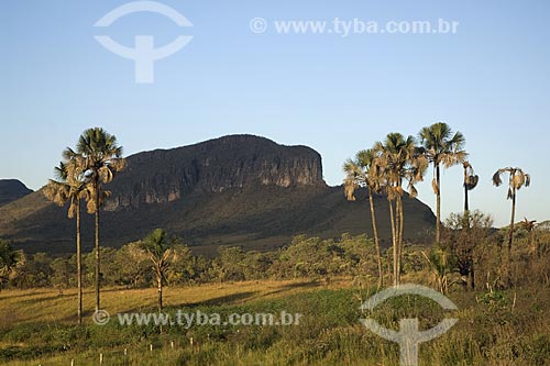  Subject: Maytrea Garden - Chapada dos Veadeiros National Park /  Place: Goias State - Brazil /  Date: July 2007 
