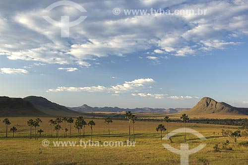  Subject: Maytrea Garden - Chapada dos Veadeiros National Park /  Place: Goias State - Brazil /  Date: July 2007 