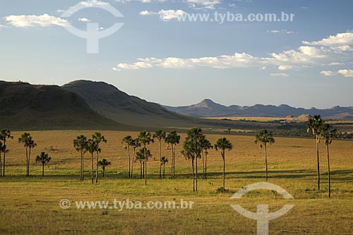  Subject: Maytrea Garden - Chapada dos Veadeiros National Park /  Place: Goias State - Brazil /  Date: July 2007 