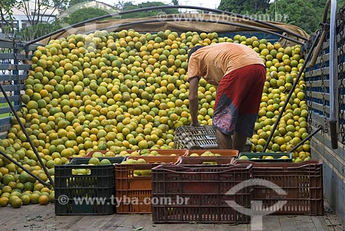  Subject: Discharge of oranges in the Municipal Market / Place: Porto Velho City - Rondonia State - Brazil / Date: June 2008 