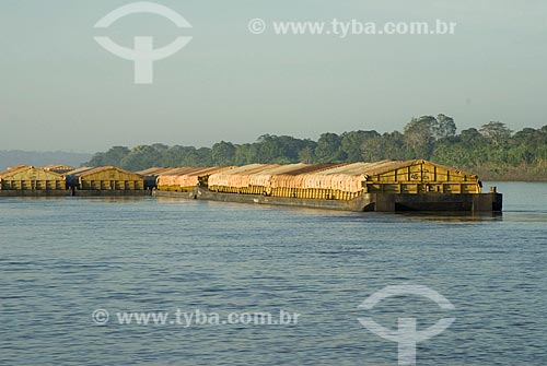  Subject: Chata (Kind of Ferry) to transport soybean - Madeira River / Place: Porto Velho City - Rondonia State - Brazil / Date: June 2008 